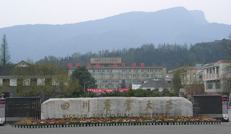 四川農(nóng)業(yè)大學(xué).jpg